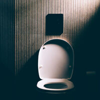 Câmera no vaso sanitário? Gadget de IA que custa US$ 600 gera polêmica ao "mentir" sobre quem vê as fotos