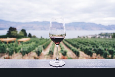 Copa De Vino