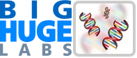 Big Huge Labs Flickr DNA