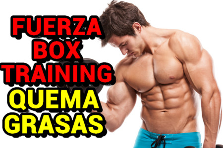 Entrenamiento Quema-grasas "Fuerza Box-Training" | VÍDEO