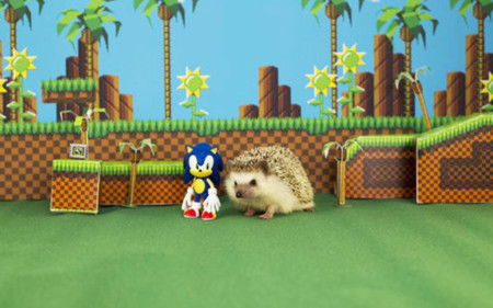 Sonic tendrá un evento especial en julio y finales de septiembre regresa a 3DS con Sonic Boom: Fire & Ice