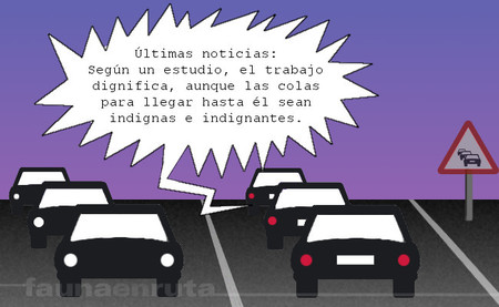 fauna en ruta - in itinere