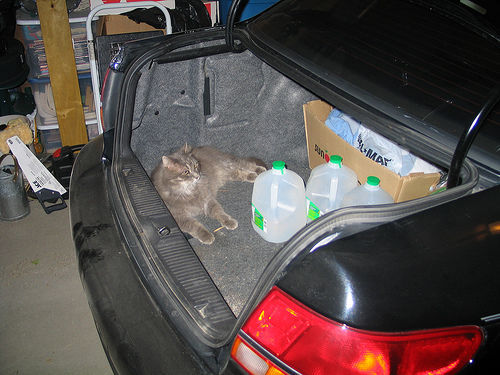 Revisa el estado de tu maletero y ahorrarás gasolina