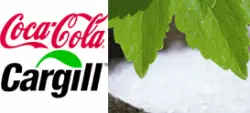 Coca Cola quiere introducir estevia en sus bebidas