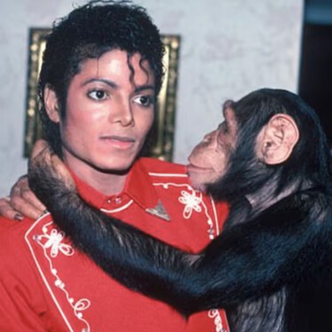 Captura De Pantalla 2026 04 25 A Las 17 23 59