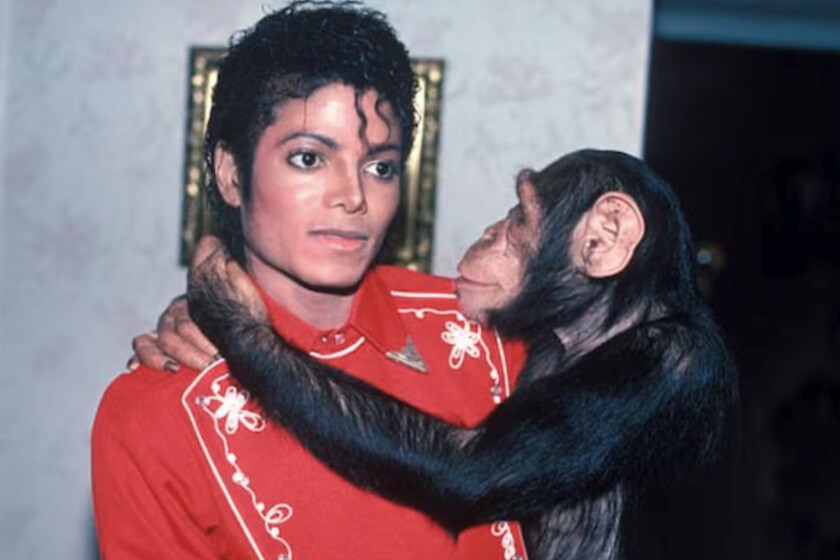Qué fue de Bubbles, el mono del Rey del Pop que ha sido representado con CGI en 'Michael' para alegría de PETA: "Elogiamos la decisión de Lionsgate"