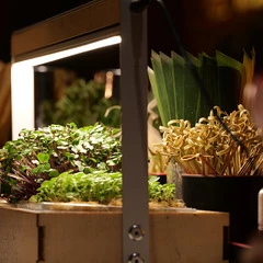 Foto 27 de 34 de la galería muestras-panasonic-s1r-y-s1 en Xataka Foto