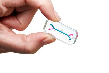 Medula óssea artificial