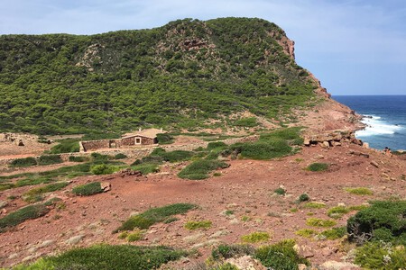 Cami cavalls Menocar Cala Pilar