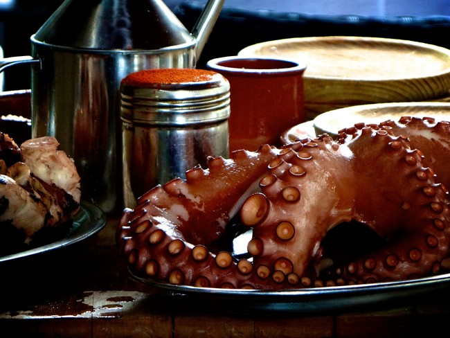 Octopus Pixabay