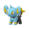 Shinx