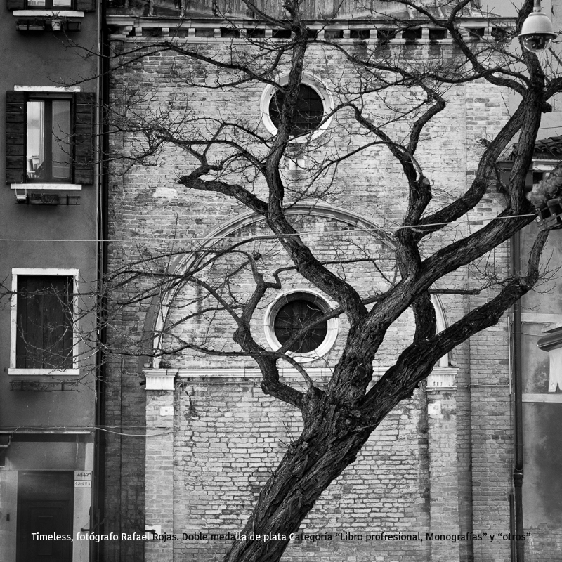 Rafael Rojas - Timeless