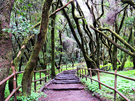Garajonay La Gomera leyenda