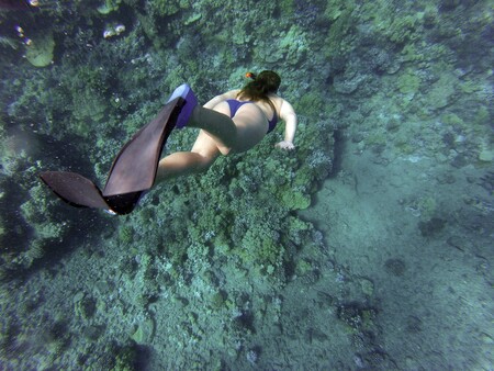 Snorkeling 984422 1920
