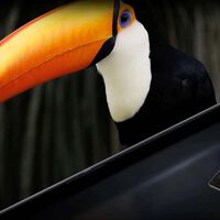 Esto no es un descuento, es un fusilamiento de precio: la Smart TV de Xiaomi con la mejor pantalla 4K a un 40% menos