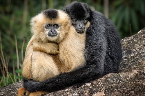 Que reconozcan tu trabajo una vez al año, no hace daño 