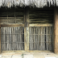 Custa menos de R$ 100 mil para construir e pode resistir a terremotos de magnitude 7.8: casas de bambu podem ser a chave para proteger a população de grandes catástrofes