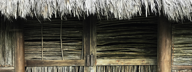 Custa menos de R$ 100 mil para construir e pode resistir a terremotos de magnitude 7.8: casas de bambu podem ser a chave para proteger a população de grandes catástrofes