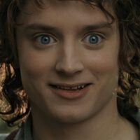 Elijah Wood, sobre la nueva película de 'El señor de los anillos' y el futuro de la saga: "Te deberías fiar de un mago"