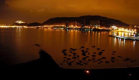 De fiesta en Alicante con descuento si eres parado