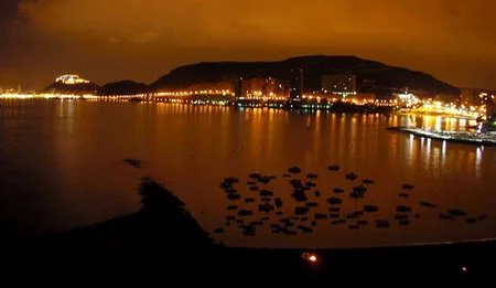 De fiesta en Alicante con descuento si eres parado