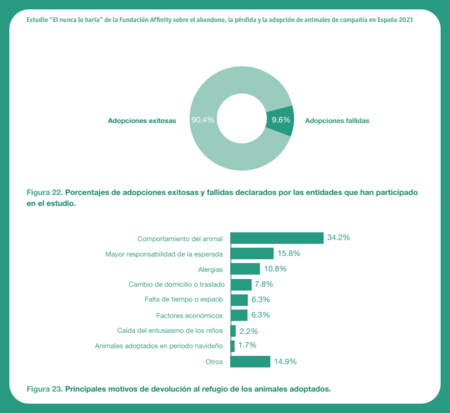 Estudio 'Él nunca lo haría' de la Fundación Affinity sobre el abandono, pérdida y adopción de animales de compañía en España 2021