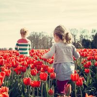 ¿Tu hijo está especialmente cansado e irascible? Podría tratarse de astenia primaveral: síntomas y consejos para aliviarla