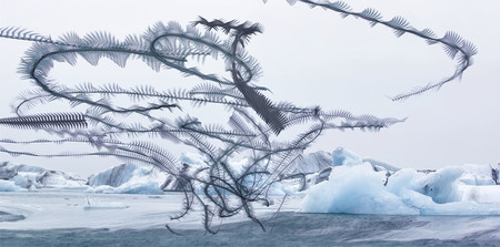 ‘Ornitografías’, una serie de Xavi Bou que convierte el vuelo de las aves en una suerte de poesía visual