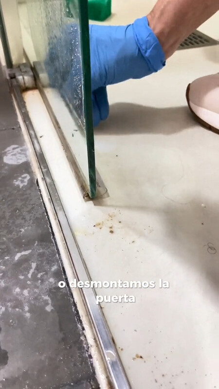 mampara