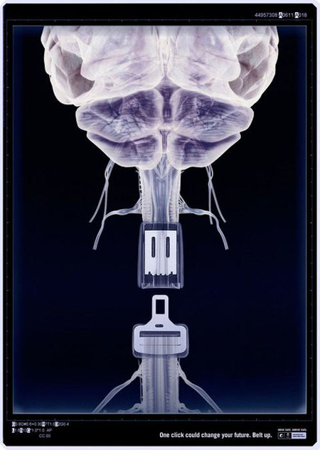 One click could change your future. Belt up