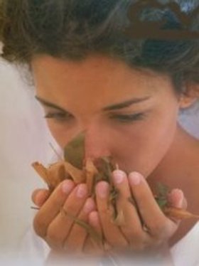 Afuera el estrés con aromaterapia