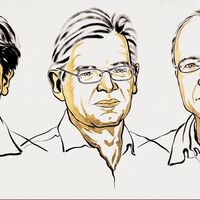 El Premio Nobel de Fisiología y Medicina 2026 es para Karl Deisseroth, Peter Hegemann y Georg Nagel