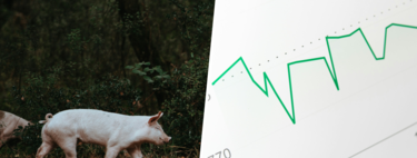 There are people buying land, farms and pig farms in Spain. And those people are investment funds