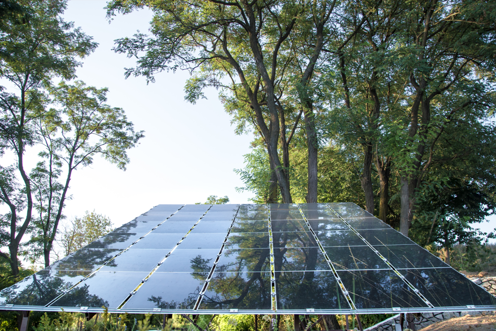 Los árboles solares buscan resolver la paradoja de las renovables: crecer sin destruir la naturaleza