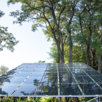 Los árboles solares buscan resolver la paradoja de las renovables: crecer sin destruir la naturaleza