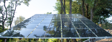 Los árboles solares buscan resolver la paradoja de las renovables: crecer sin destruir la naturaleza