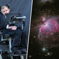 "No creo que la humanidad sobreviva en los siguientes mil años": la inquietante predicción de Stephen Hawking sobre nuestro futuro 