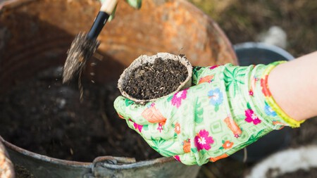 Olvídate del café y las cáscaras de huevo: este abono casero es el verdadero tesoro para tus plantas