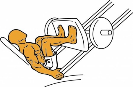 Musculación para corredores (IX): prensa inclinada