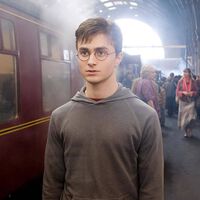 La madre del nuevo alcalde de Nueva York estuvo a punto de dirigir una peli de Harry Potter. Su hijo le convenció de lo contrario