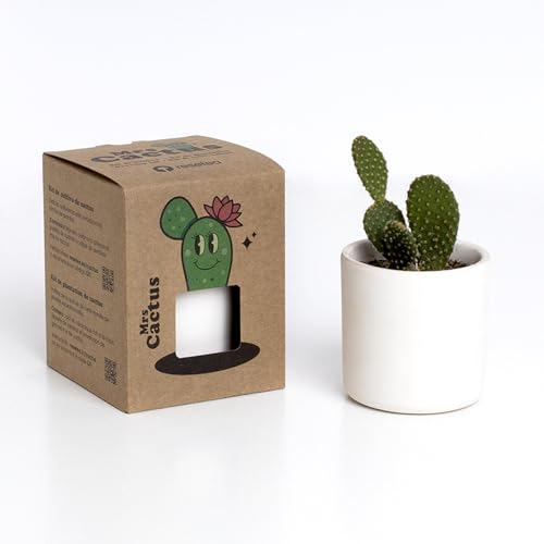 Mrs. Cactus – Kit de Cultivo de Cactus con Maceta de Barro 