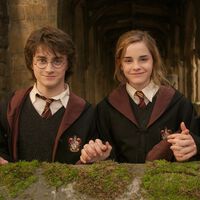 Harry Potter va a sumar dos nuevos libros en 2027 y esta vez los protagonistas serán dos nombres muy queridos de Hogwarts 