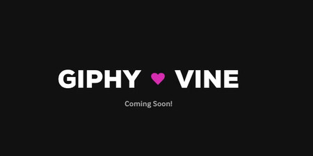 Giphy quiere tus Vines, y ha creado una herramienta para que los lleves a su servicio