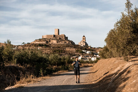Alcaudete 3