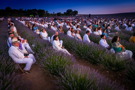 Festival De La Lavanda De Brihuega 5