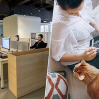 El teletrabajo no ha muerto: se ha transformado en un híbrido que se ha disparado en poco tiempo 