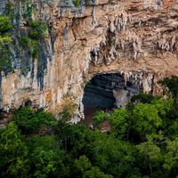 Tesouro natural no Brasil: a espetacular caverna que abriga a maior estalactite do mundo com altura equivalente à do Cristo Redentor 