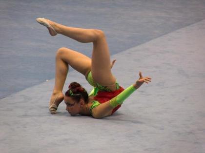 Diferencias entre elasticidad y flexibilidad