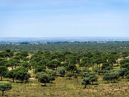 A Apenas 10 Minutos De Albacete La Finca Tiene Encinar Aprovecamiento Agricola Y Cinegetico