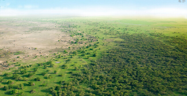 Great Green Wall